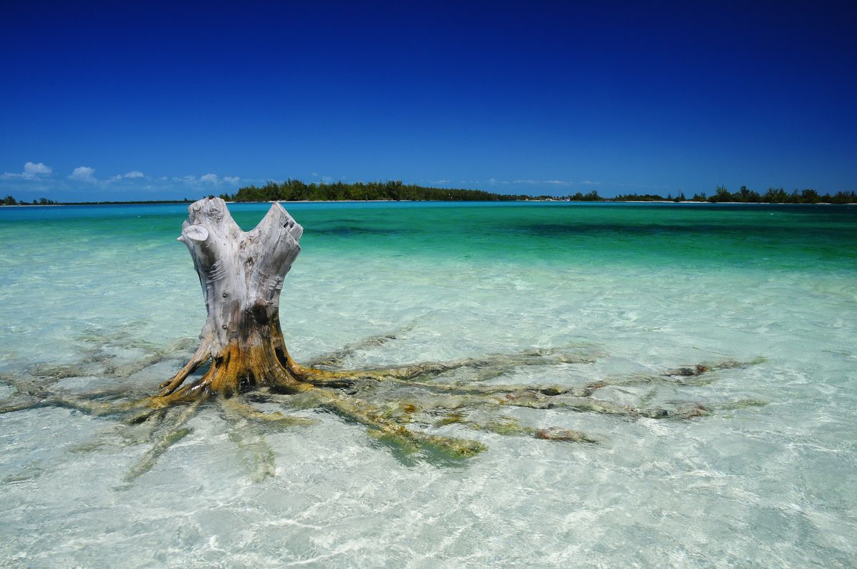 Ocean Cay